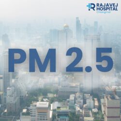 เรียนรู้และรับมือ PM 2.5